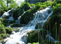 Санаторий Нива-Моршин-санатории