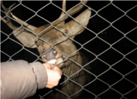 Санаторий Нива-Моршин-Киев Плюс-отдых